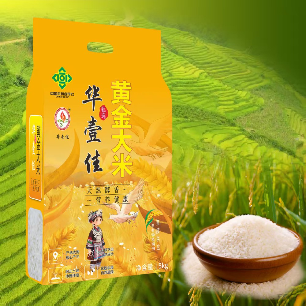 黄金大米